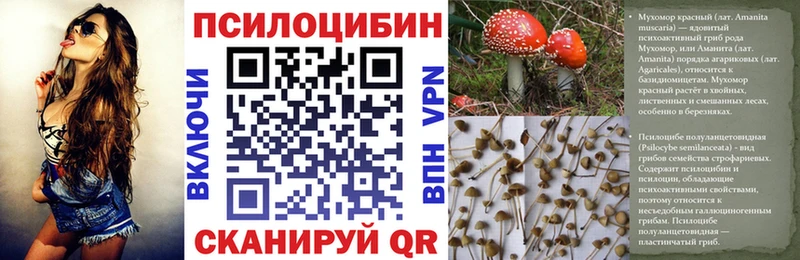 Псилоцибиновые грибы прущие грибы  где можно купить наркотик  Кулебаки 