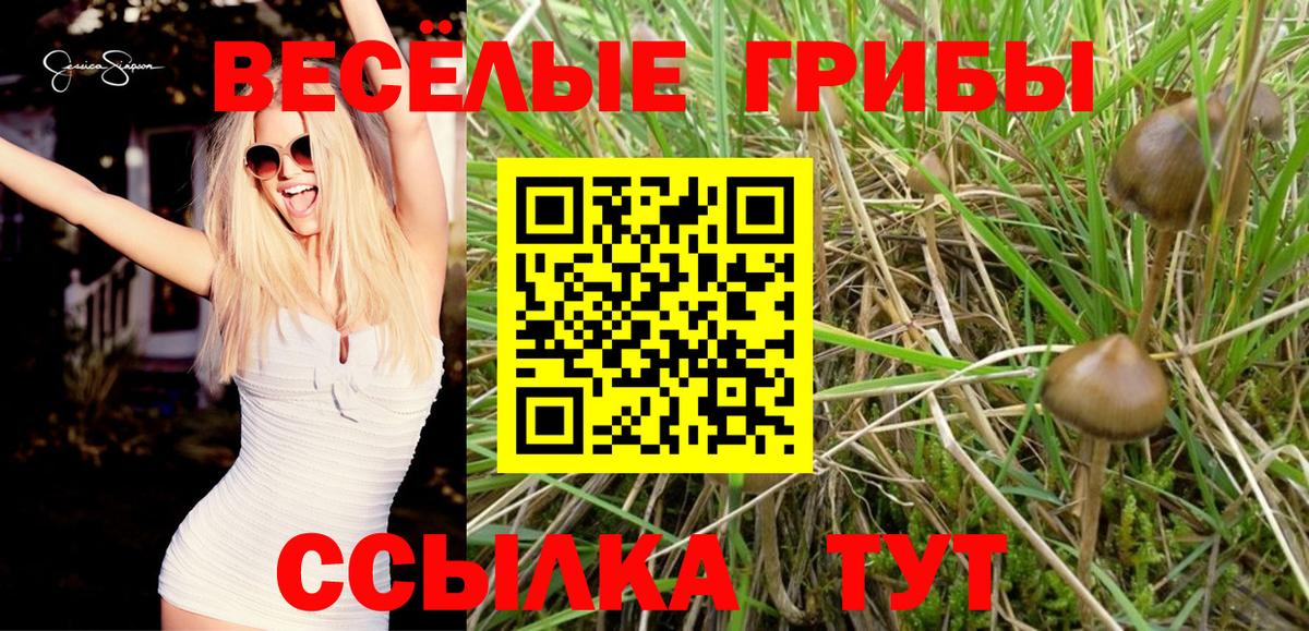 Псилоцибиновые грибы ЛСД Кулебаки